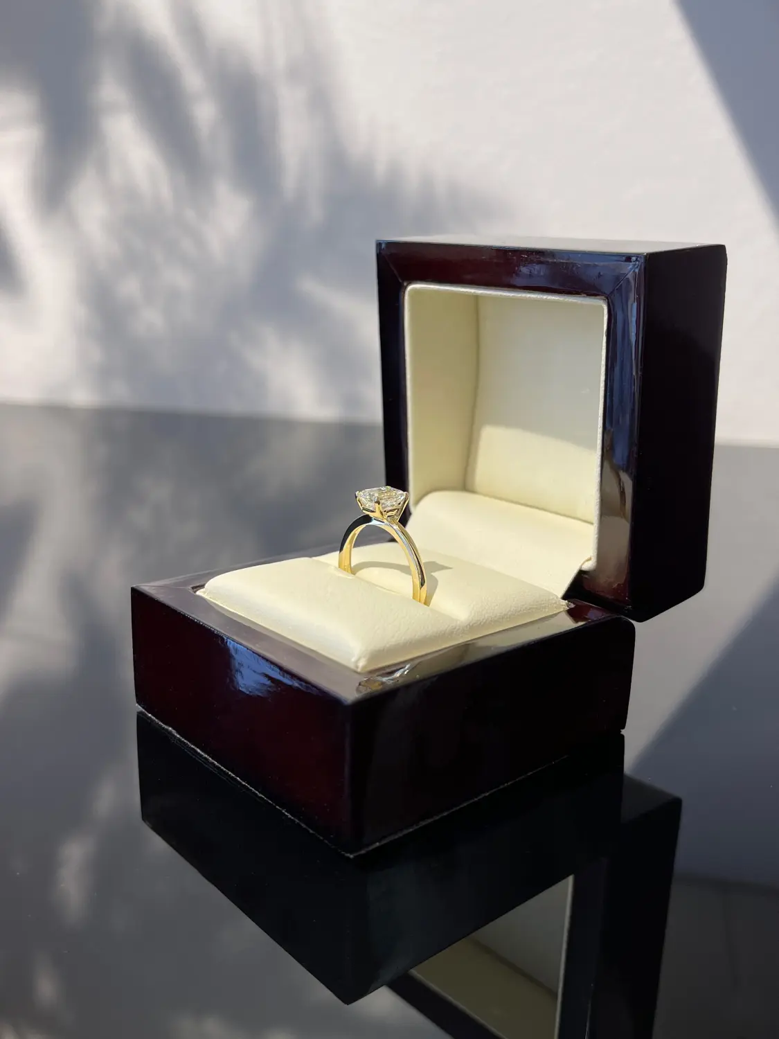 Der GOLDMANN, Ringkasten